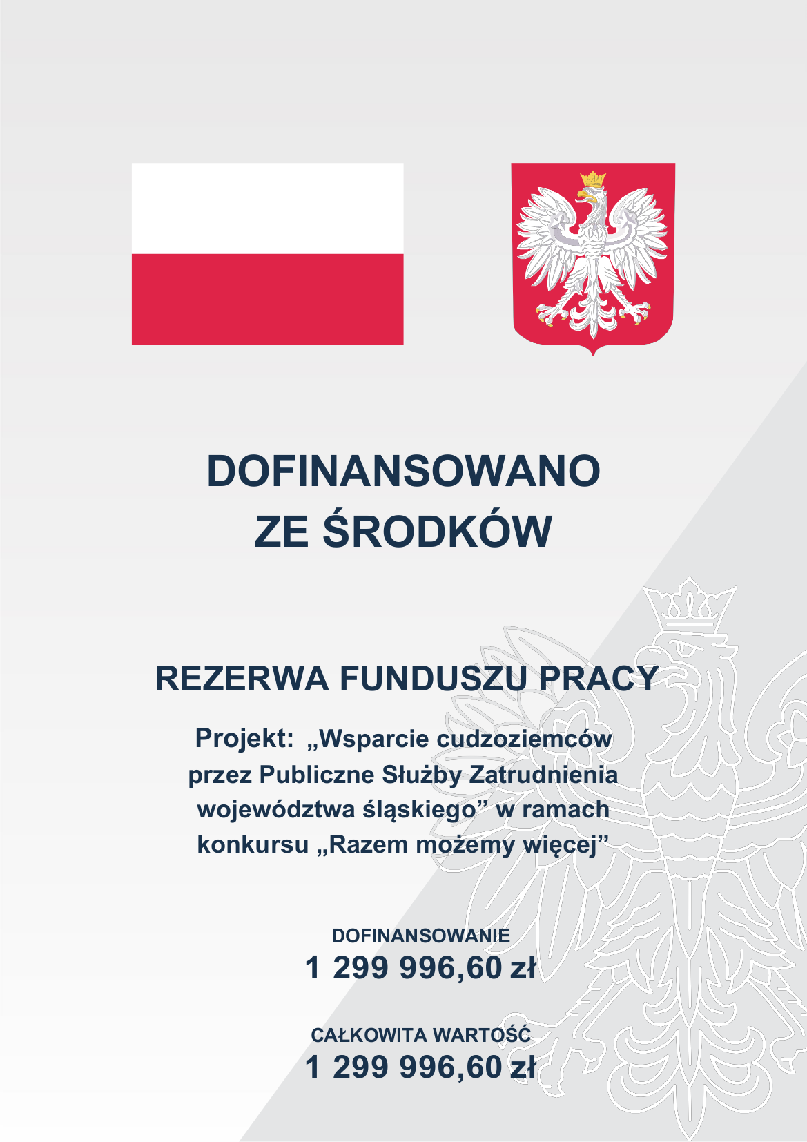 Plakat programu Wsparcie cudzoziemców przez PSZ województwa śląskiego w ramach naboru Razem Możemy Więcej